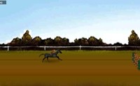 Paarden Springen