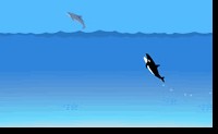 Dolfijnenjacht