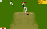 Virtuele Cricket