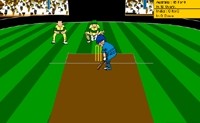 Virtual Cricket 2 