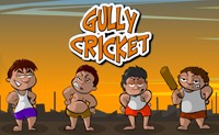 Gully Cricket